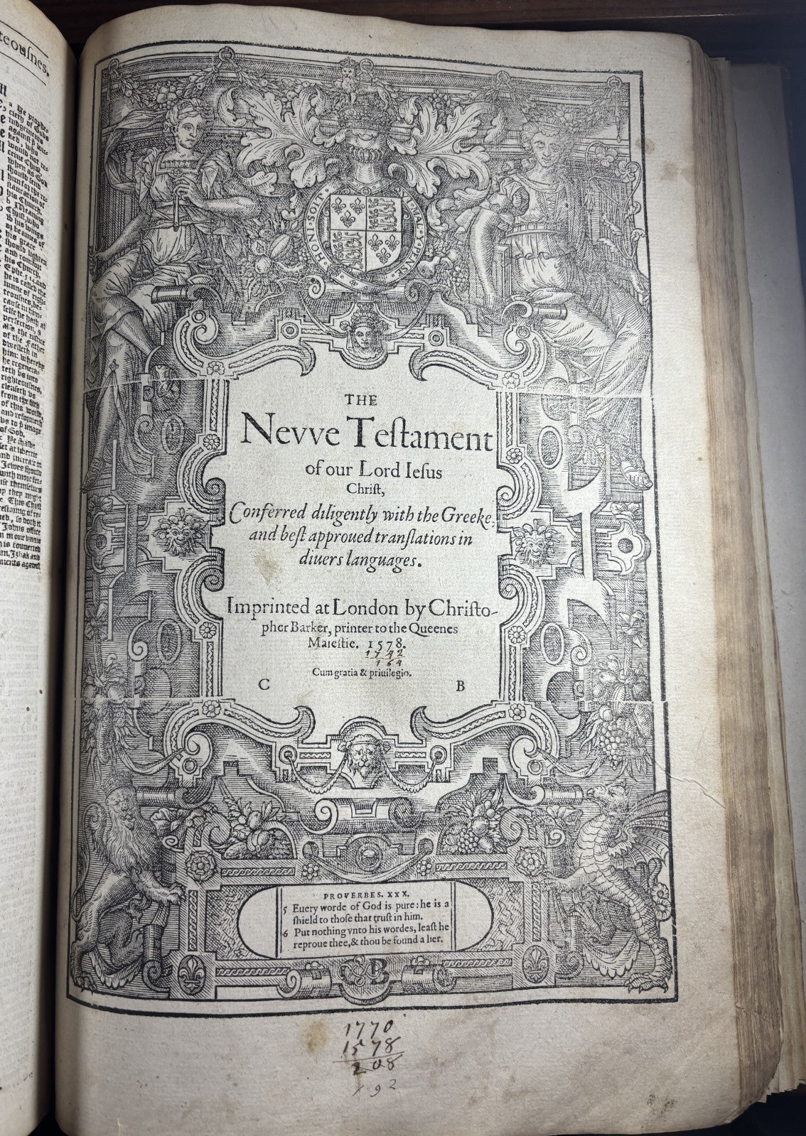 7638481